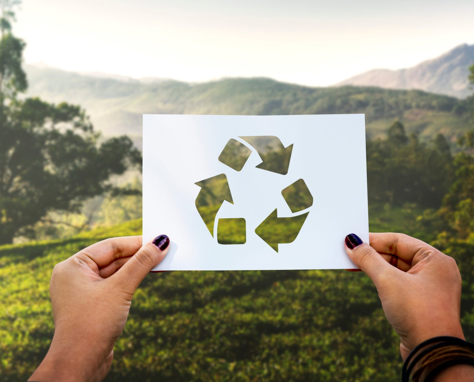 Read more about the article Circular Economy: The Future of Sustainable Development