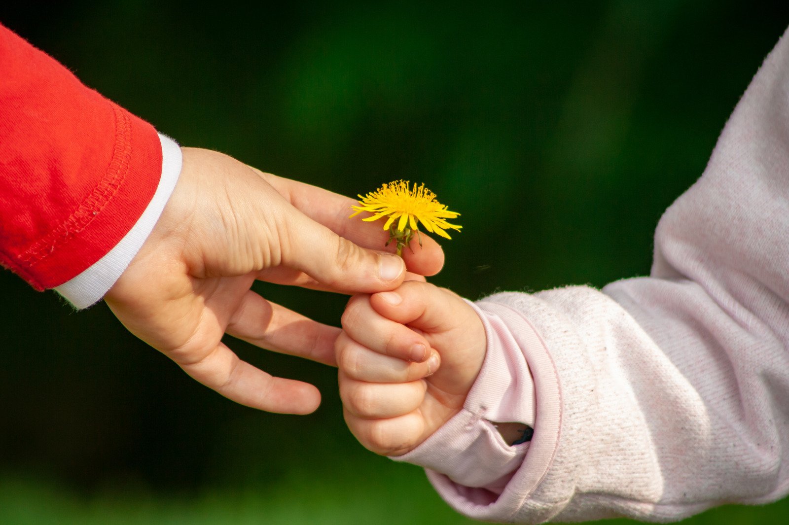 Read more about the article A Little Kindness Can Go A Long Way: 17 Benefits of Kindness