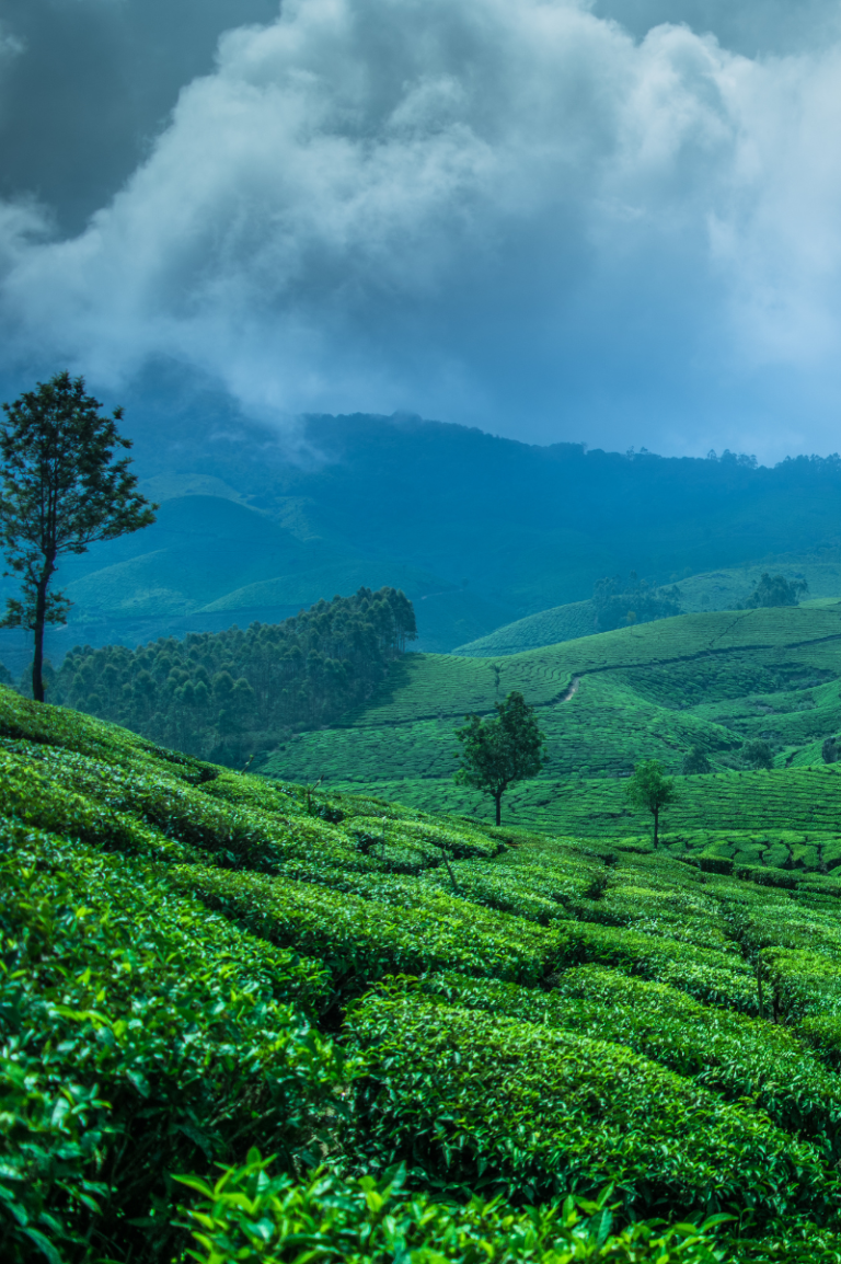 7 beauties of kerala - The One Liner