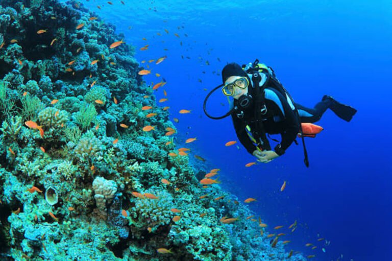 Scuba diving opens up a whole new world beneath the waves.