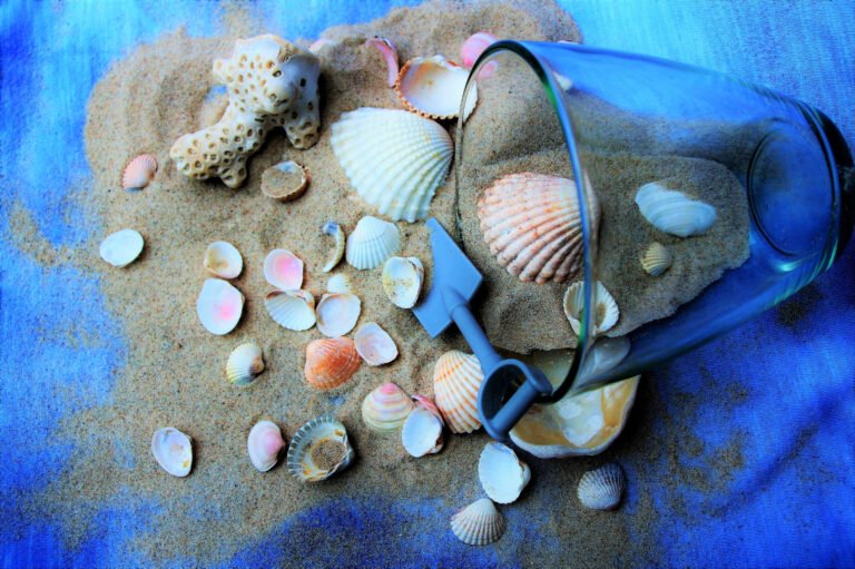 store Seashell