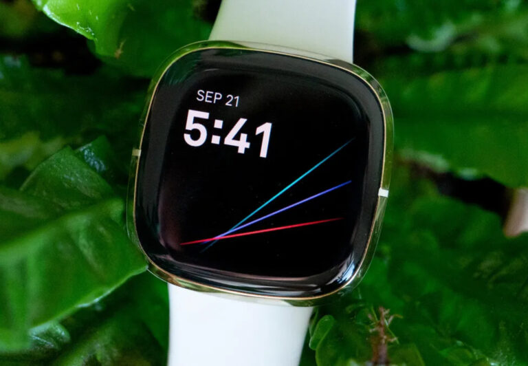 Read more about the article Stay Fit with Fitbit: Your Ultimate Companion for Active Living and Peak Fitness