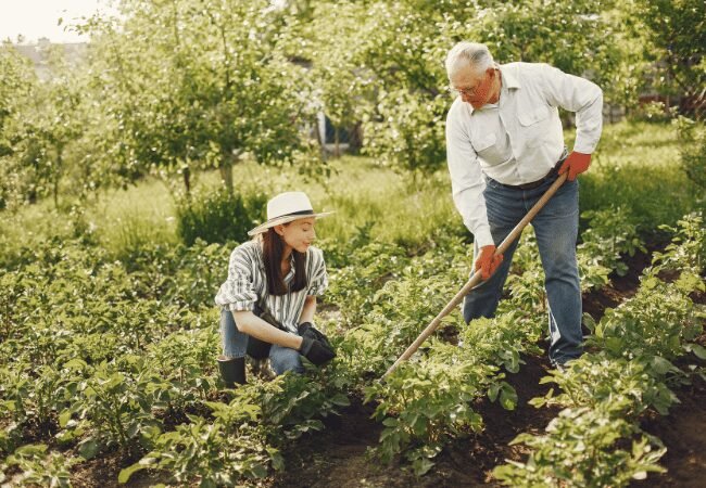 Do some Gardening