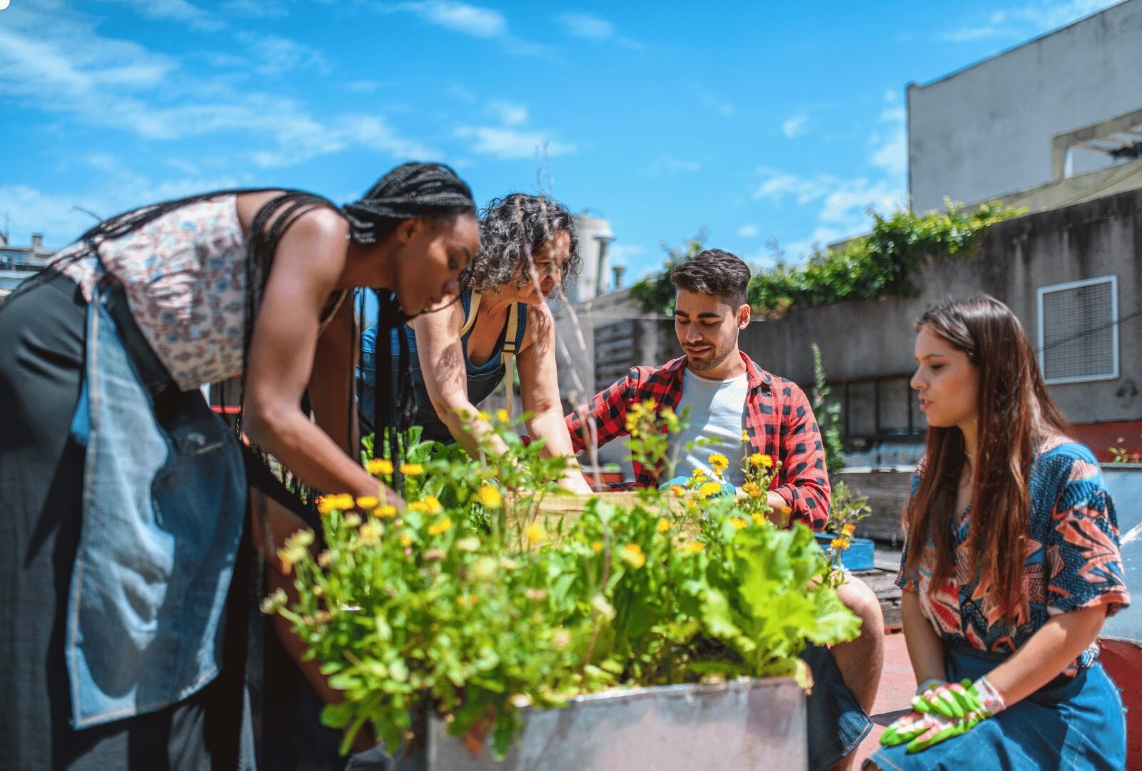 Read more about the article Strengthening Community Bonds with Young Residents By Developing Strong Roots among Young Adults.