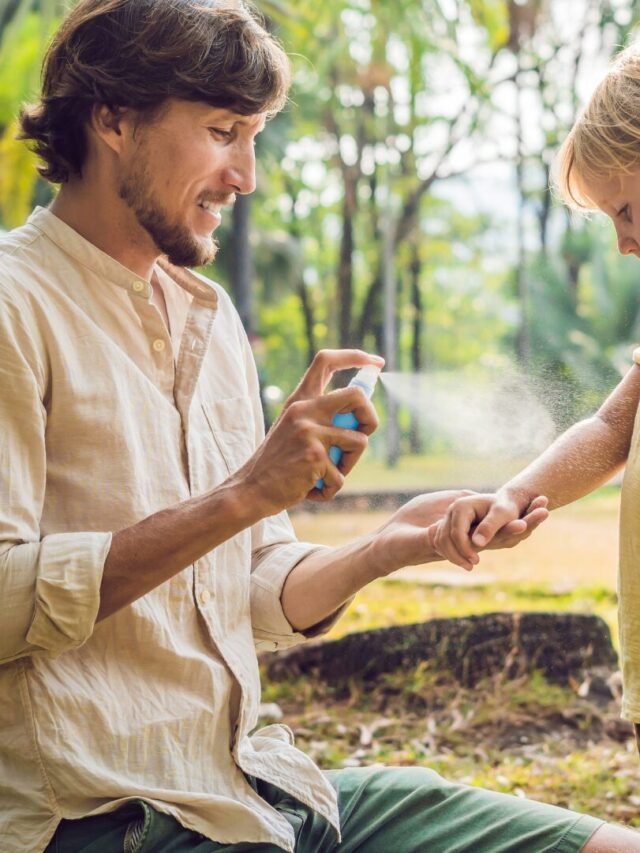 natural mosquito repellent that can be made at home