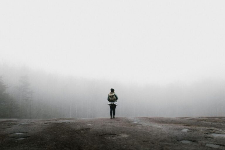 A lone person with a backpack stands facing away, looking out at a vast, foggy landscape with faint trees visible in the distance. The ground is dark and rugged.