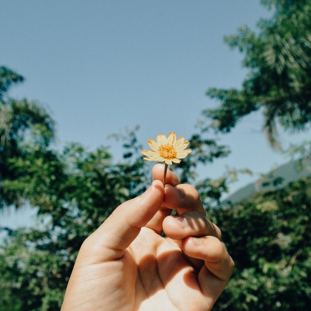 Be that flower in the wilds.