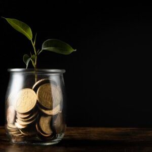front-view-plant-growing-from-jar-with-coins-copy-space